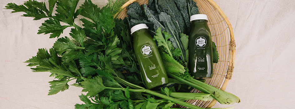 What comes to your mind when you hear Kale?