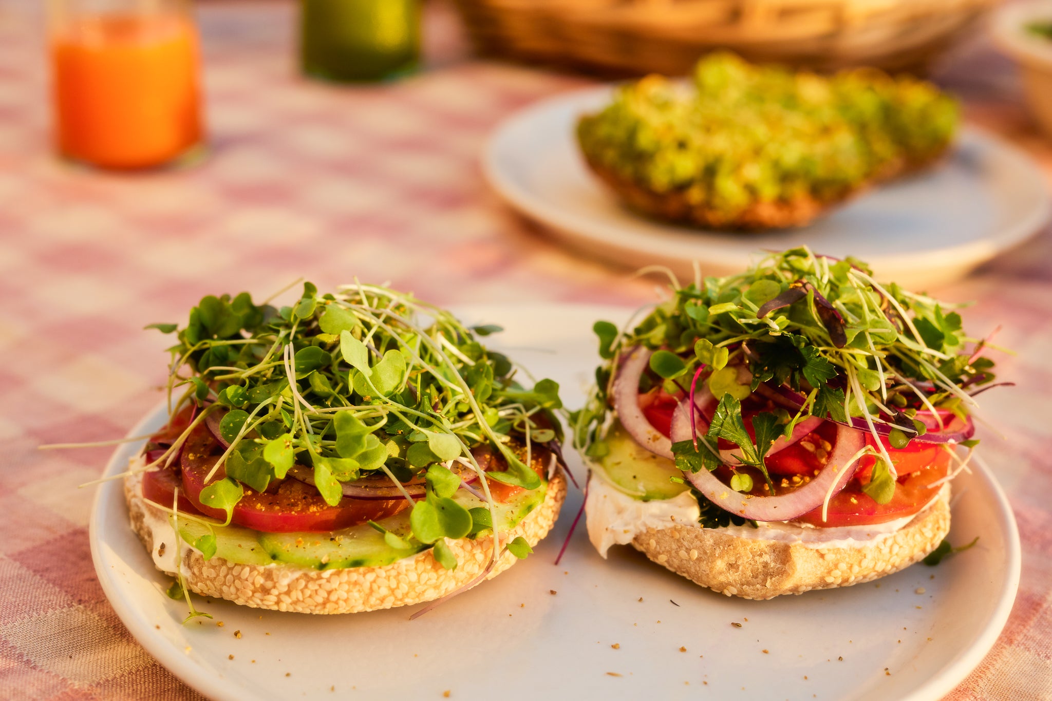 FARM TO BAGEL