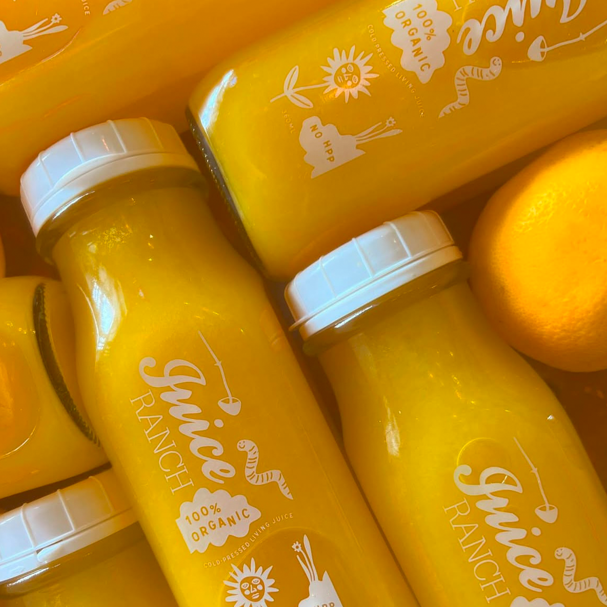 SEASONAL CITRUS JUICE